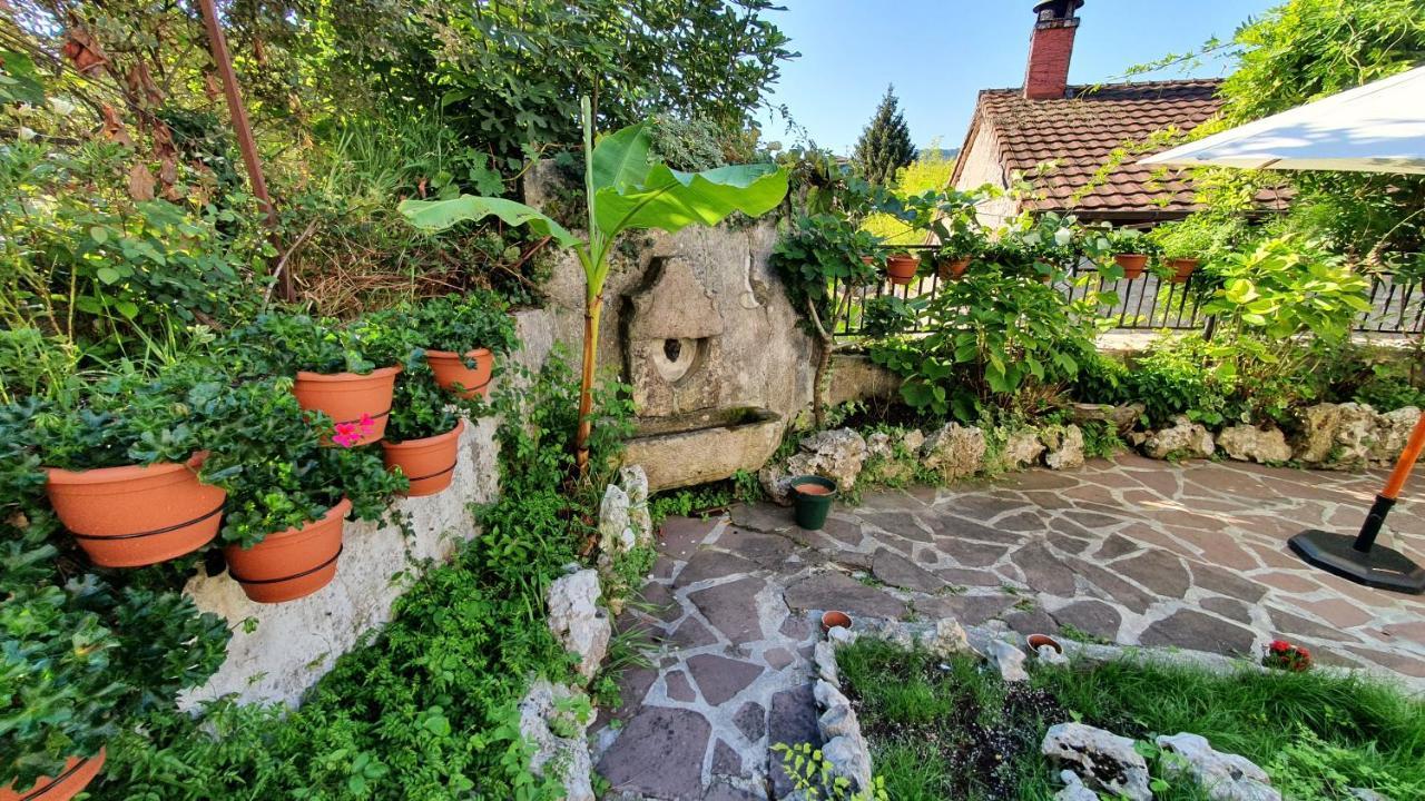 Hostal Ansonea Bera  Zewnętrze zdjęcie